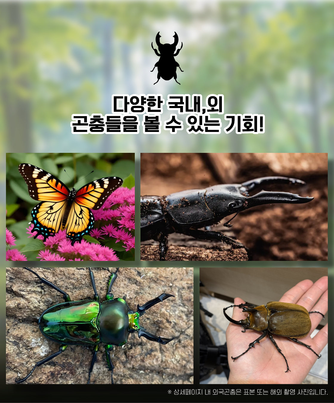 ee8fe9c351d5e3e7e9bd8a6e39b2b5eb_1783144968_628.png